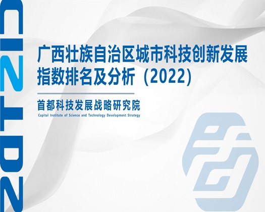 操逼视频网站直接看【成果发布】广西壮族自治区城市科技创新发展指数排名及分析（2022）